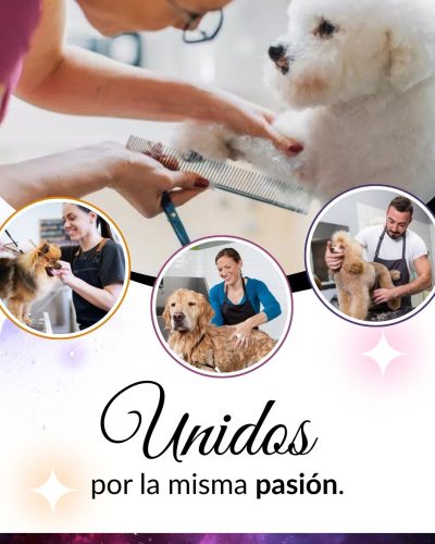 nosotros